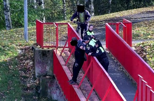 Strážníci v Chebu zachránili může před skokem do kolejiště