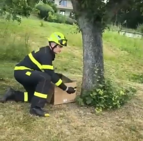 Hasiči opět ukázali srdce. Zachránili kachňátka a dojali okolí